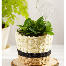 paper string plaited flower pots planters glass pot